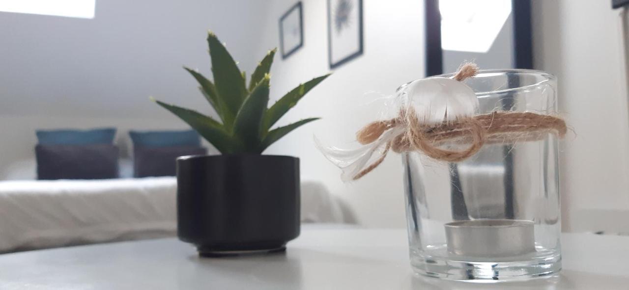 Apartament Le P'Tit Cosy Lorient Zewnętrze zdjęcie